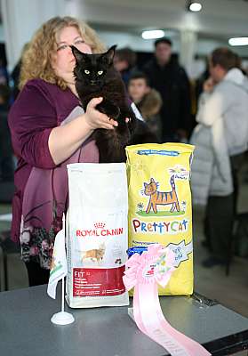 �������� ����� 22-23 ������ 2014 WCF-����� 9-39-169A9418 copy.jpg